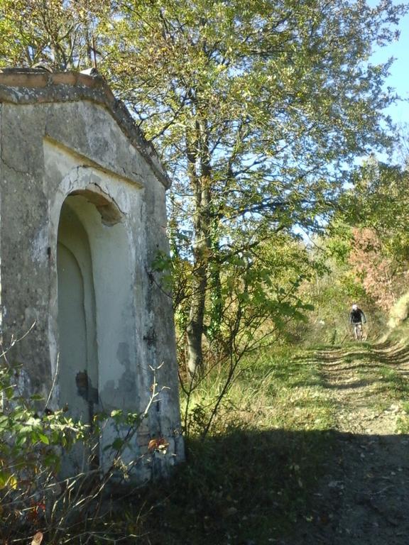 Agriturismo Monte Genesio Villa Medesano Bagian luar foto
