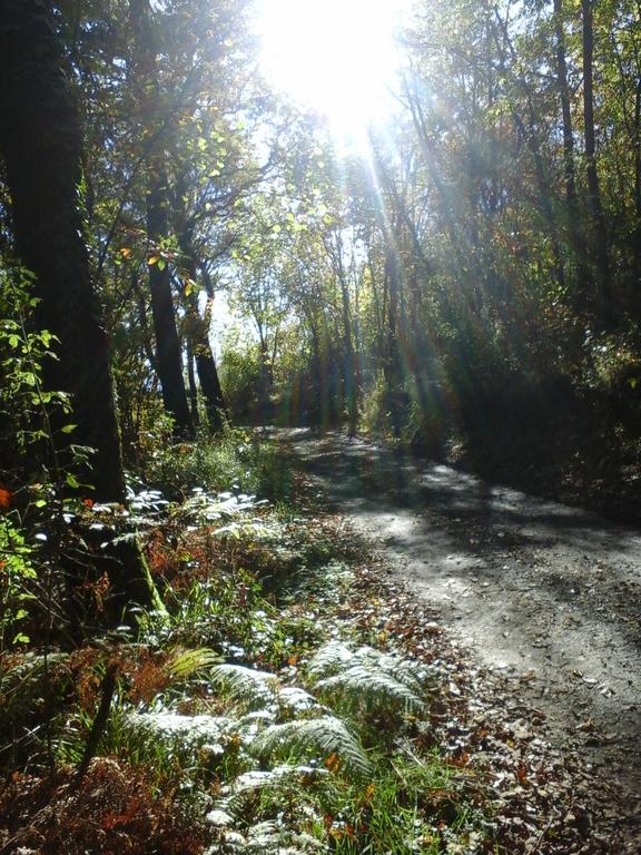 Agriturismo Monte Genesio Villa Medesano Bagian luar foto