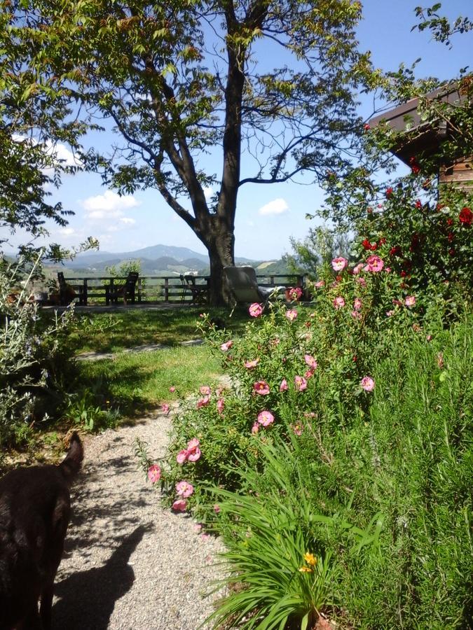 Agriturismo Monte Genesio Villa Medesano Bagian luar foto